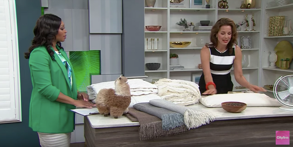 As Seen on Cityline - ComfySleep Buckwheat Pillow